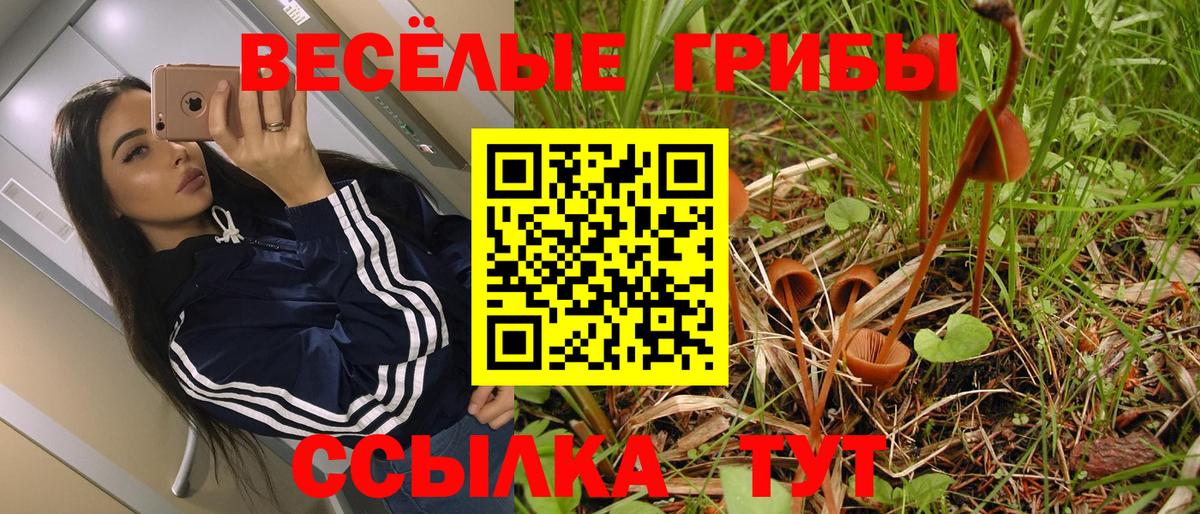 Псилоцибиновые грибы Psilocybine cubensis  Псилоцибиновые грибы MAGIC MUSHROOMS  Чайковский  Вход с VPN 