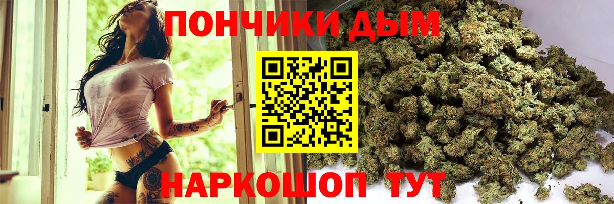 Марихуана сатива Чайковский